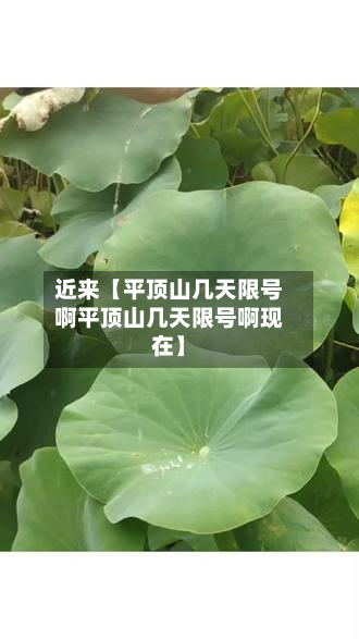 近来【平顶山几天限号啊平顶山几天限号啊现在】