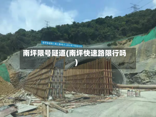 南坪限号隧道(南坪快速路限行吗)