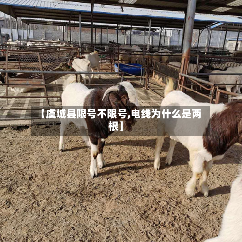 【虞城县限号不限号,电线为什么是两根】