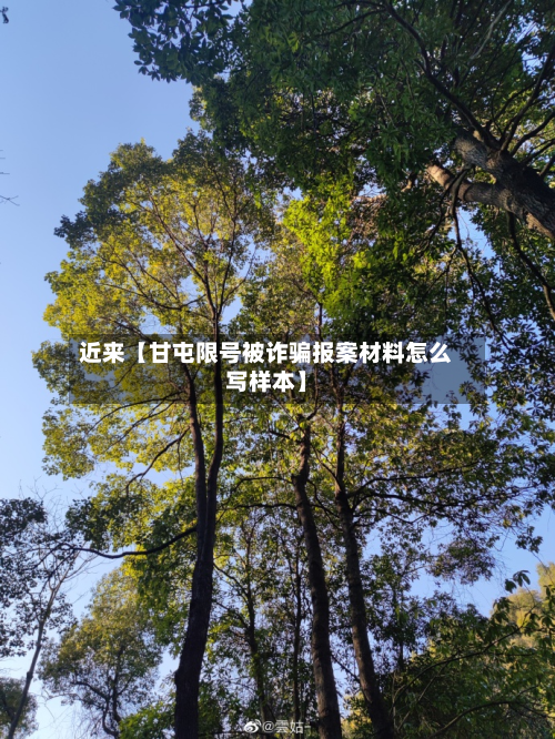 近来【甘屯限号被诈骗报案材料怎么写样本】