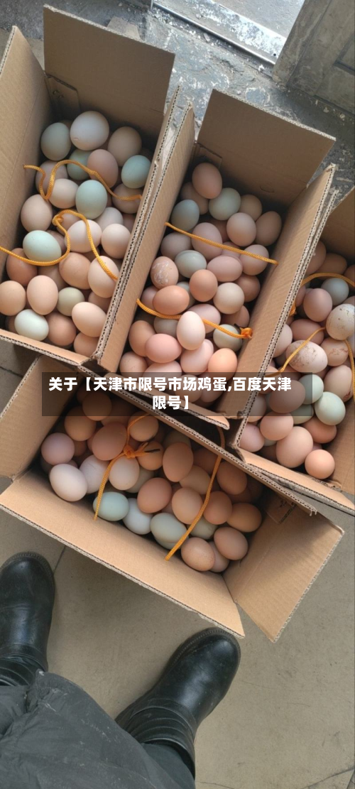 关于【天津市限号市场鸡蛋,百度天津限号】