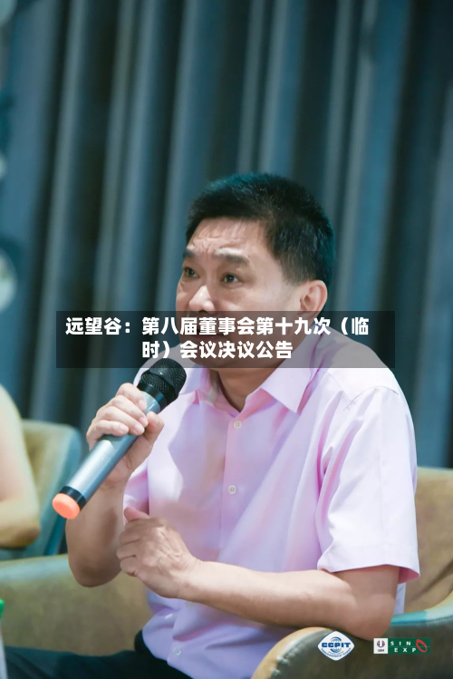 远望谷：第八届董事会第十九次（临时）会议决议公告