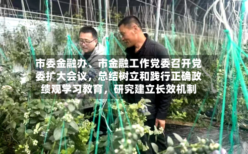 市委金融办、市金融工作党委召开党委扩大会议，总结树立和践行正确政绩观学习教育，研究建立长效机制