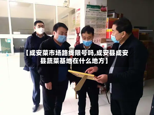 【成安菜市场路线限号吗,成安县成安县蔬菜基地在什么地方】