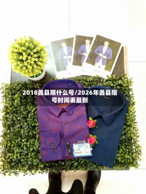 2018蠡县限什么号/2026年蠡县限号时间表最新