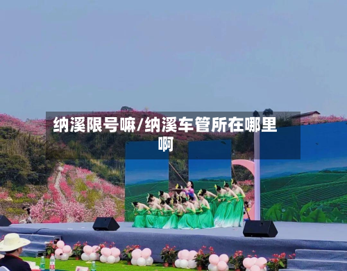 纳溪限号嘛/纳溪车管所在哪里啊