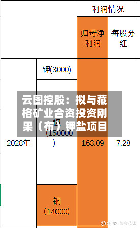 云图控股:拟与藏格矿业合资投资刚果(布)钾盐项目-第1张图片