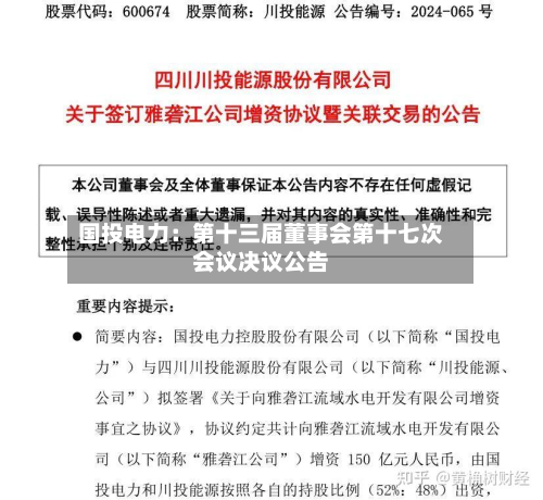 国投电力：第十三届董事会第十七次会议决议公告