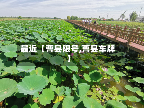 最近【曹县限号,曹县车牌】-第3张图片