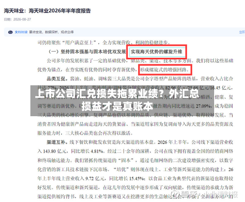 上市公司汇兑损失拖累业绩？外汇总损益才是真账本