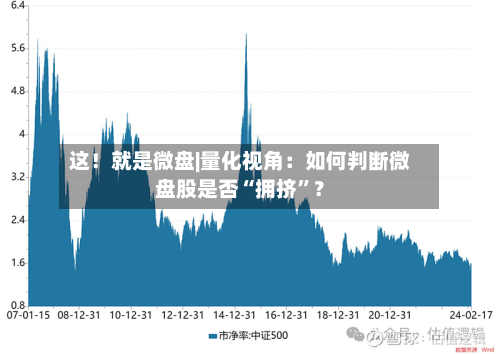 这！就是微盘|量化视角：如何判断微盘股是否“拥挤”？-第2张图片