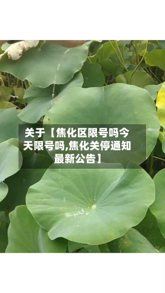 关于【焦化区限号吗今天限号吗,焦化关停通知最新公告】-第2张图片
