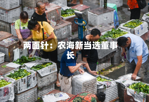 两面针：农海新当选董事长