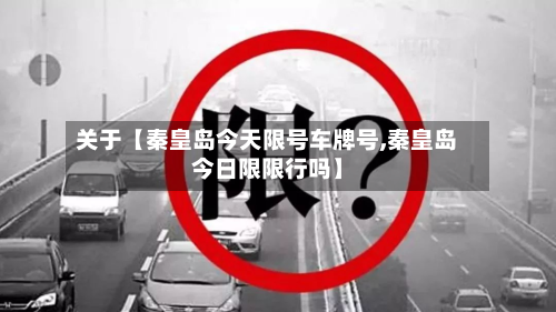 关于【秦皇岛今天限号车牌号,秦皇岛今日限限行吗】-第3张图片
