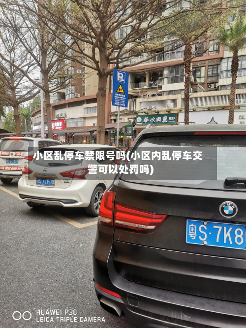 小区乱停车禁限号吗(小区内乱停车交警可以处罚吗)-第3张图片