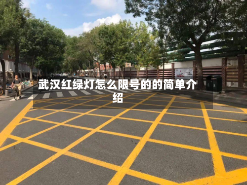 武汉红绿灯怎么限号的的简单介绍