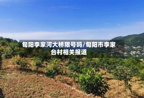 旬阳李家河大桥限号吗/旬阳市李家台村相关报道