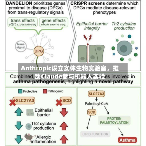 Anthropic设立实体生物实验室	，推动Claude参与机器人实验-第2张图片