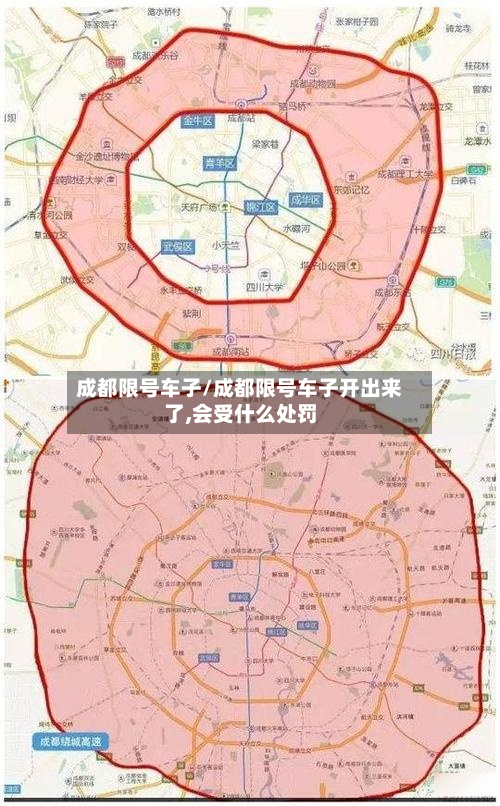 成都限号车子/成都限号车子开出来了,会受什么处罚-第2张图片