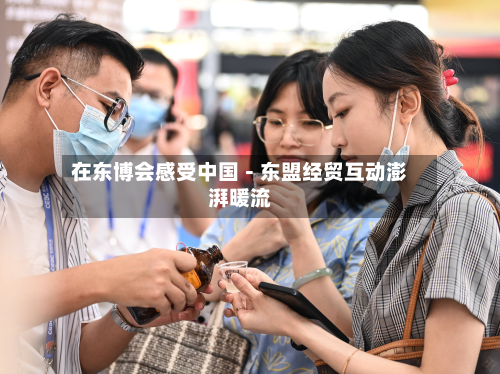 在东博会感受中国-东盟经贸互动澎湃暖流-第2张图片