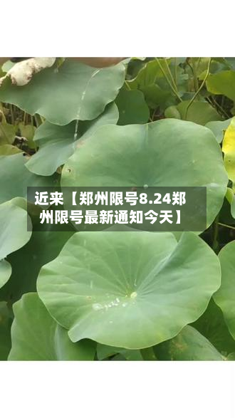 近来【郑州限号8.24郑州限号最新通知今天】-第2张图片