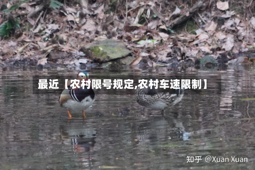 最近【农村限号规定,农村车速限制】