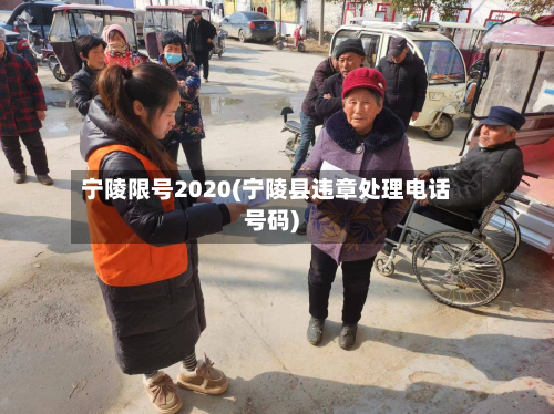 宁陵限号2020(宁陵县违章处理电话号码)-第3张图片