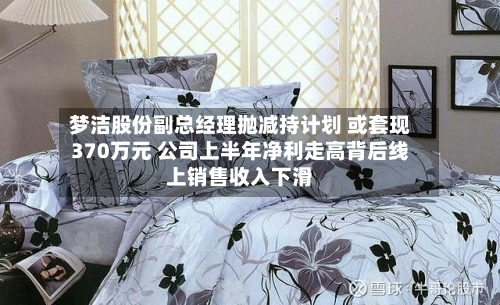 梦洁股份副总经理抛减持计划 或套现370万元 公司上半年净利走高背后线上销售收入下滑-第3张图片
