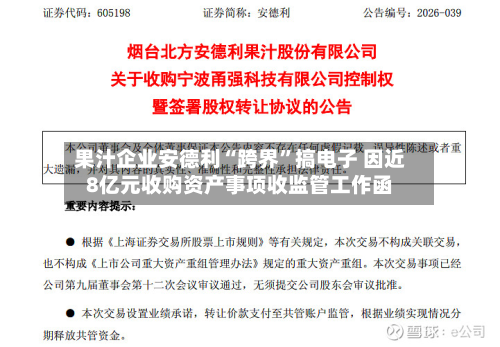 果汁企业安德利“跨界”搞电子 因近8亿元收购资产事项收监管工作函-第3张图片