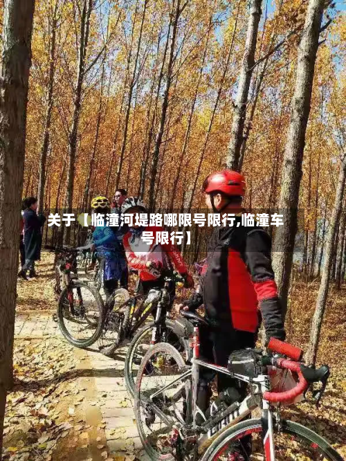 关于【临潼河堤路哪限号限行,临潼车号限行】