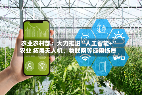 农业农村部：大力推进“人工智能+	”农业 拓展无人机	、物联网等应用场景-第2张图片