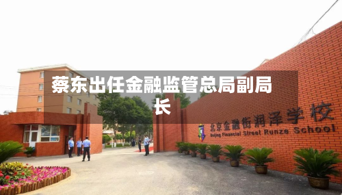 蔡东出任金融监管总局副局长