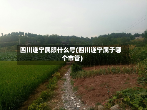 四川遂宁属限什么号(四川遂宁属于哪个市管)-第2张图片