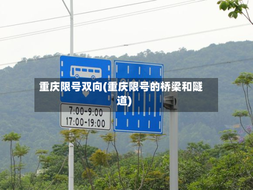 重庆限号双向(重庆限号的桥梁和隧道)