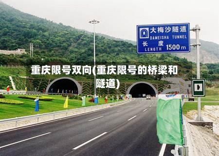 重庆限号双向(重庆限号的桥梁和隧道)-第2张图片