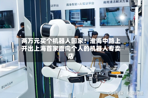 两万元买个机器人回家!淮海中路上开出上海首家面向个人的机器人专卖店