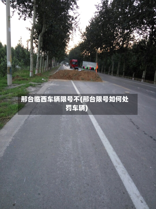 邢台临西车辆限号不(邢台限号如何处罚车辆)