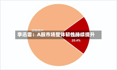 李迅雷：A股市场整体韧性持续提升
