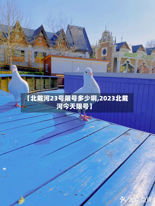 【北戴河23号限号多少啊,2023北戴河今天限号】-第3张图片
