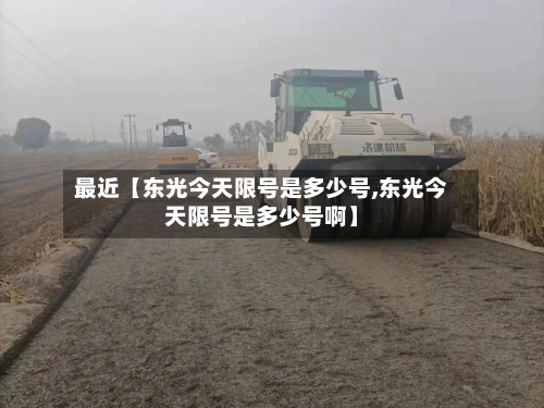 最近【东光今天限号是多少号,东光今天限号是多少号啊】-第2张图片