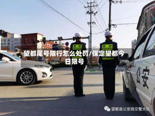 望都尾号限行怎么处罚/保定望都今日限号-第2张图片