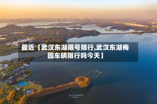 最近【武汉东湖限号限行,武汉东湖梅园车辆限行吗今天】-第2张图片