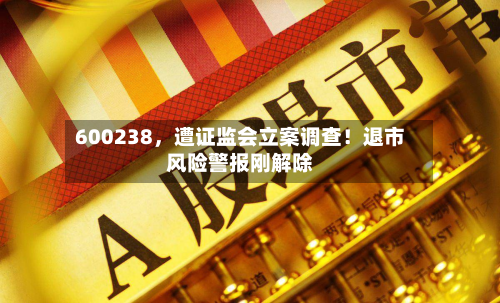 600238，遭证监会立案调查！退市风险警报刚解除-第2张图片