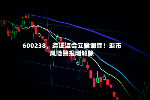 600238	，遭证监会立案调查！退市风险警报刚解除-第3张图片