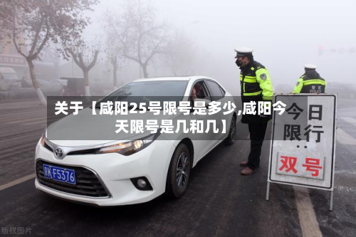 关于【咸阳25号限号是多少,咸阳今天限号是几和几】-第3张图片