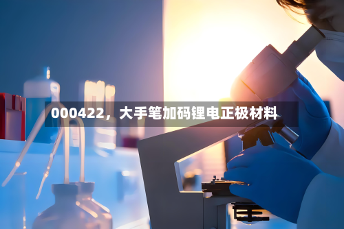 000422，大手笔加码锂电正极材料-第3张图片