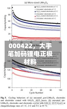 000422，大手笔加码锂电正极材料