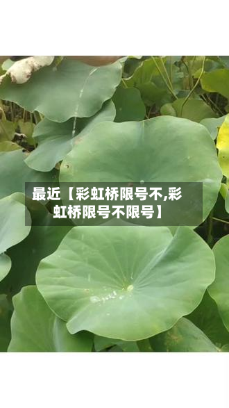 最近【彩虹桥限号不,彩虹桥限号不限号】
