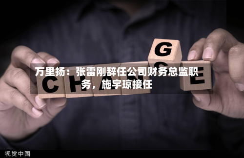 万里扬：张雷刚辞任公司财务总监职务，施宇琼接任-第2张图片