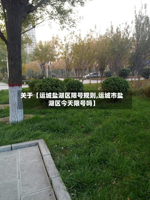 关于【运城盐湖区限号规则,运城市盐湖区今天限号吗】-第3张图片